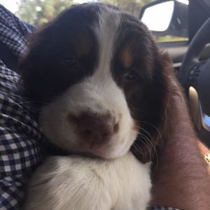 Meet your Posher, Jocelyn